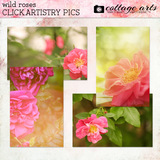 Wild Roses Collection