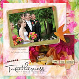 Wild Roses Element Pak