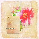 Wild Roses Art Journal Cards