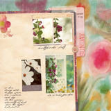 Wild Roses Art Journal Cards