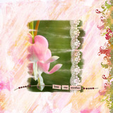 Wild Roses Collection