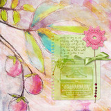 Wild Roses Collection