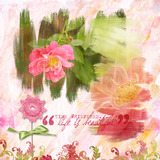 Wild Roses Element Pak