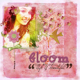 Wild Roses Collection