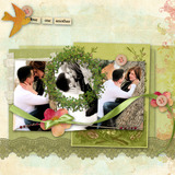 Wild Roses Paper Pak