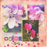 Wild Roses 2 Paper Pak