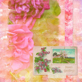 Wild Roses 2 Paper Pak