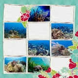 Enchanted Tropical Vacation Roatan 12x12 Page Print Templates