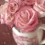 Naturals 14 Paper Pak