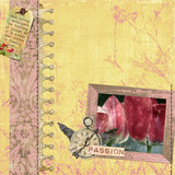 Naturals 13 Paper Pak