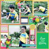 Photo Focus 2019 - May