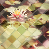 Shape Blends Collection