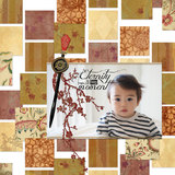 Shape Blends Collection