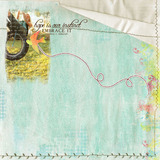 Everyday 7 Paper Pak