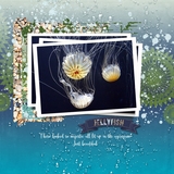 Aquarium Days Waterdrop Papers