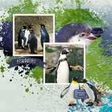 Aquarium Days Bundle