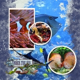 Aquarium Days Mega Bundle