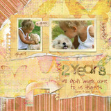 Butterfly Wings 2 Collection