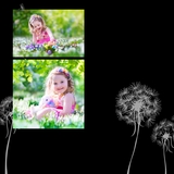 Black Gallery Elegant 12x12 Predesigned Pages