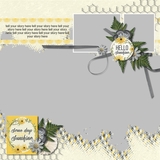 Summertime Pre designed & editable pages