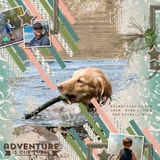 Summertime Pre designed & editable pages