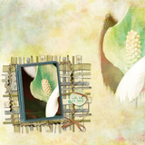 Storybook Reverie Collection