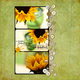 Summer Lovin' Collection