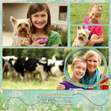 Summer Lovin' Collection