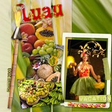 Strokes of Nature Paper Collection