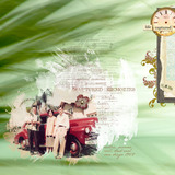 Strokes of Nature Paper Collection