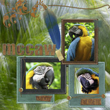 Strokes of Nature Paper Collection