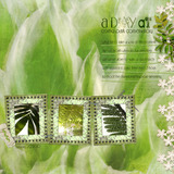 Strokes of Nature Paper Collection