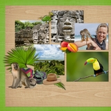 Latin American Adventure