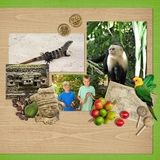 Latin American Adventure