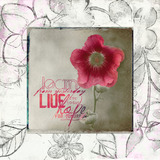 Simply Reflection Collection