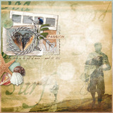 Sportin' It Collection