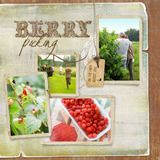 Simply Friendship Collection