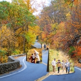 Autumn Windows Templates Set 4