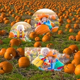 Autumn Windows Templates Set 4