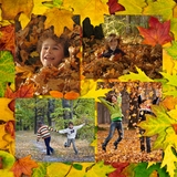 Autumn Windows Templates Set 3