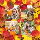 Autumn Windows Templates Set 1