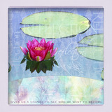 Simply Reflection Collection