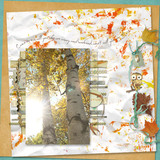 Painter's Canvas Collection 1