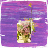 Painter's Canvas Collection 1