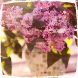 Painter's Canvas Collection 1