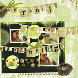 Painter's Canvas Collection 2