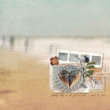 In My Dreams Collection