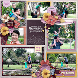 Photo Focus 2019 - November