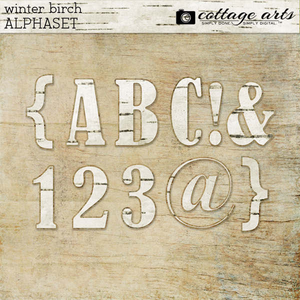 Winter Birch AlphaSet Digital Art - Digital Scrapbooking Kits