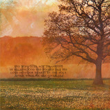 Simply Faith Collection